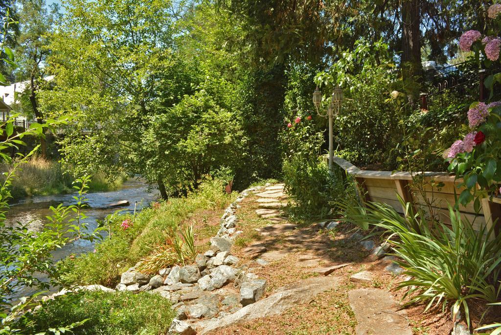 Deer Creek Inn Nevada City Esterno foto